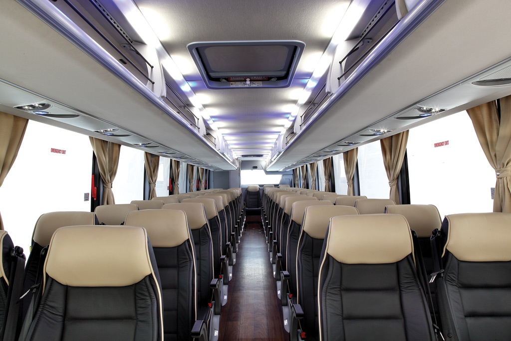 Темса Сафари