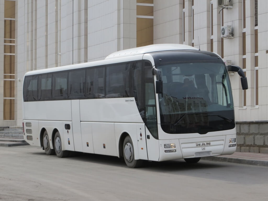 R08 Lion's Coach R08 Lion's Coach